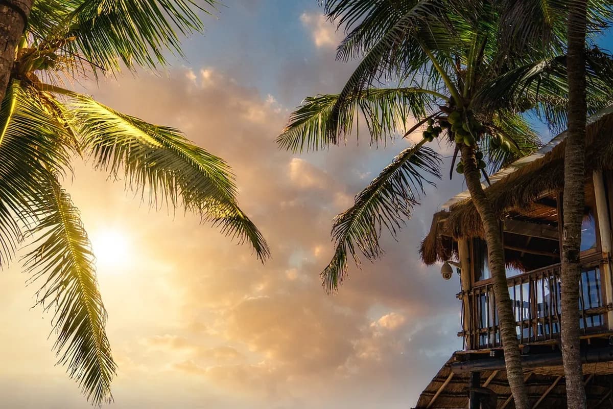 Palm trees silhouetted against a golden sunset beside a thatched beach bar